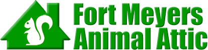 Fort Meyers Animal Attic